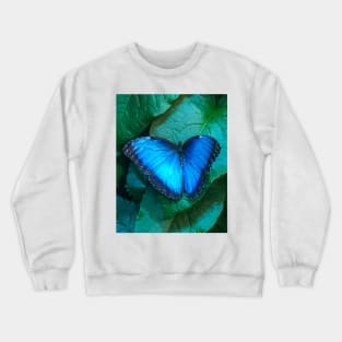 Purple butterfly Crewneck Sweatshirt